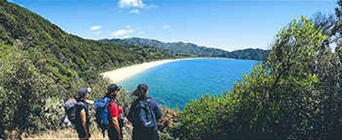 Abel Tasman Guided Walk